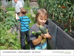 2013-08-23-01 - Gartenjahr fuer Kinder bei Fischbachtal kreativ.jpg