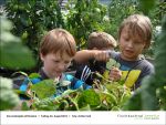 2013-08-23-02 - Gartenjahr fuer Kinder bei Fischbachtal kreativ.jpg