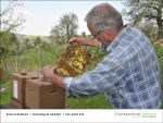 Fischbachtal kreativ - Rund um die Bienen-2013-04-25-03.jpg