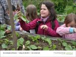 Gartenjahr mit Kindern bei Fischbachtal kreativ - Bild3.jpg