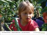 2013-09-06-02 - Gartenjahr mit Kindern bei Fischbachtal kreativ.jpg
