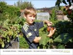 2013-09-06-04 - Gartenjahr mit Kindern bei Fischbachtal kreativ.jpg