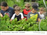 Fischbachtal kreativ - Gartenjahr mit Kindern - 2013-06-14-Bild03.jpg