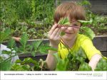 Fischbachtal kreativ - Gartenjahr mit Kindern - 2013-06-14-Bild07.jpg