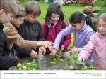 Gartenjahr mit Kindern bei Fischbachtal kreativ - Bild7.jpg