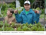 Gartenjahr mit Kindern bei Fischbachtal kreativ - Bild4.jpg