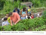 Fischbachtal kreativ - Gartenjahr mit Kindern - 2013-06-14-Bild01.jpg