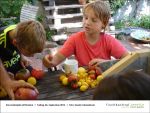 2013-09-06-08 - Gartenjahr mit Kindern bei Fischbachtal kreativ.jpg