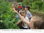 Fischbachtal kreativ - Gartenjahr mit Kindern - 2013-06-14-Bild08.jpg