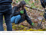 Folie12 - Pflanzaktion 2025 Fischbachtal kreativ.PNG