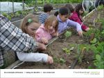 Gartenjahr mit Kindern bei Fischbachtal kreativ - Bild11.jpg