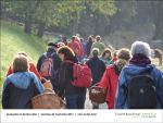 Pilz-Seminar bei Fischbachtal kreativ am 2013-09-28-02.jpg