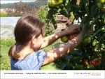 2013-09-06-03 - Gartenjahr mit Kindern bei Fischbachtal kreativ.jpg
