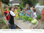 Fischbachtal kreativ - Gartenjahr mit Kindern - 2013-06-14-Bild14.jpg
