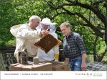 Fischbachtal kreativ - Rind um die Bienen 02-06.2013 - 12.jpg