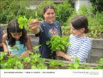 Fischbachtal kreativ - Gartenjahr mit Kindern - 2013-06-14-Bild04.jpg