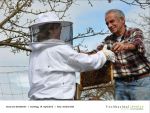 Rund um die Bienen 13 - Foto Achim Krell.jpg