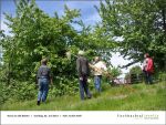 Fischbachtal kreativ - Rind um die Bienen 02-06.2013 - 02.jpg