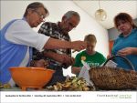 Pilz-Seminar bei Fischbachtal kreativ am 2013-09-28-16.jpg