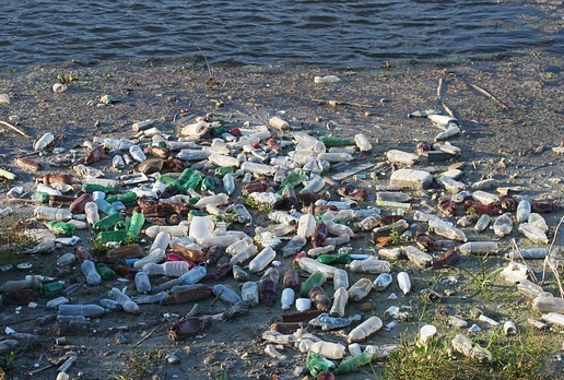 80% aller Plastikflaschen enden im Müll (Foto: Pixabay)